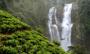Lakmalmi Holiday Tours