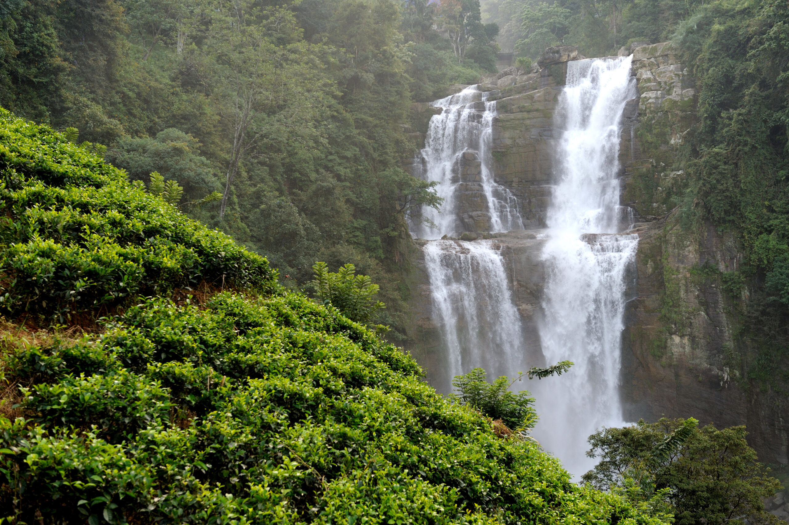 Lakmalmi Holiday Tours