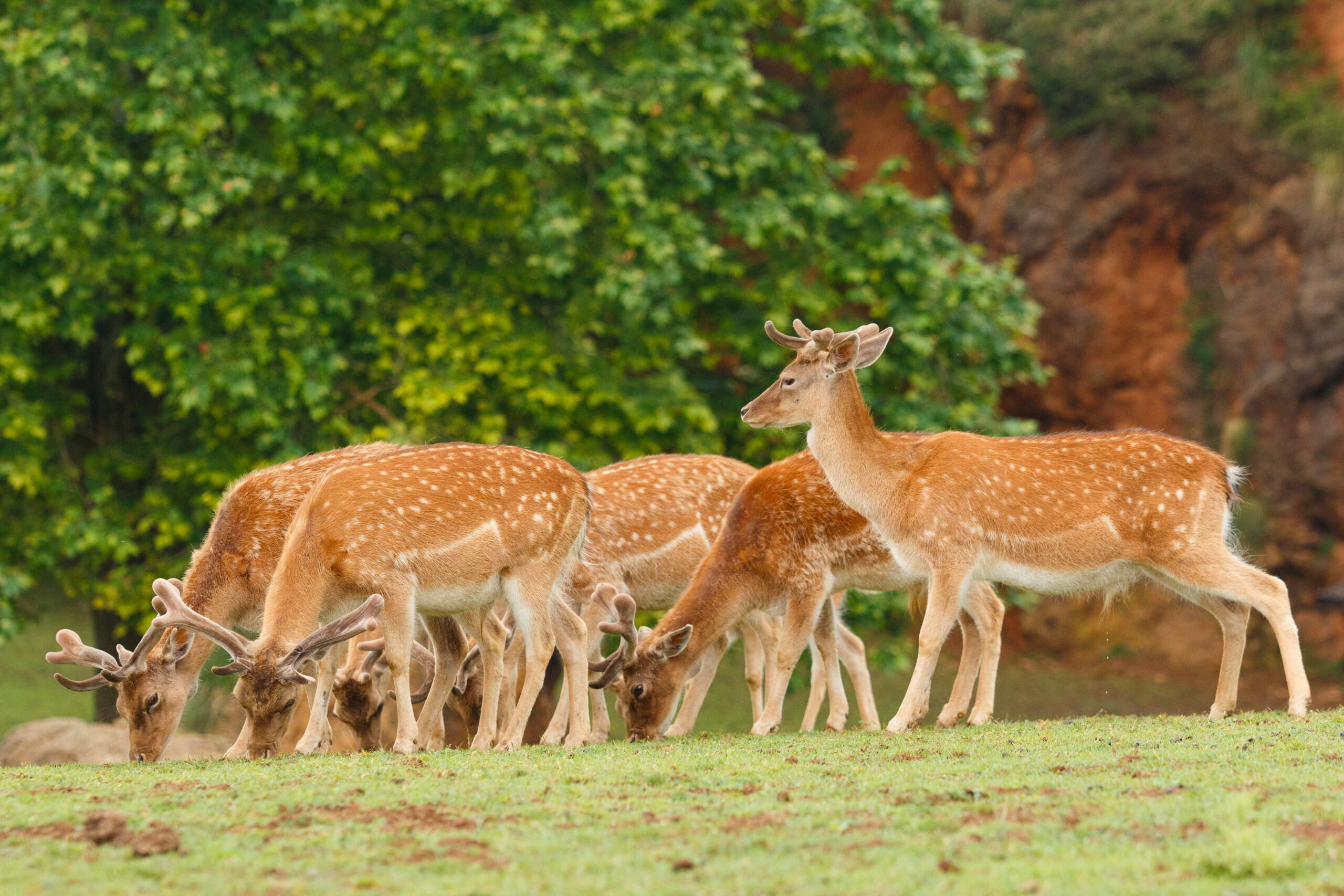 Lakmalmi Holiday Tours