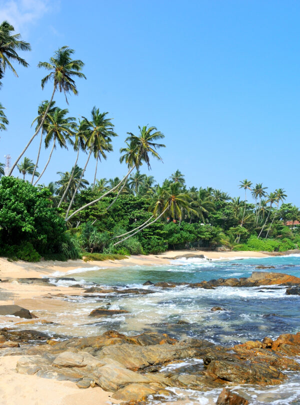 Lakmalmi Holiday Tours